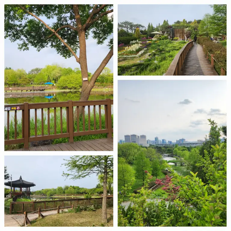 한밭수목원 대전 서구 걷기 좋은 곳, 5월이 가기 전에 가보세요